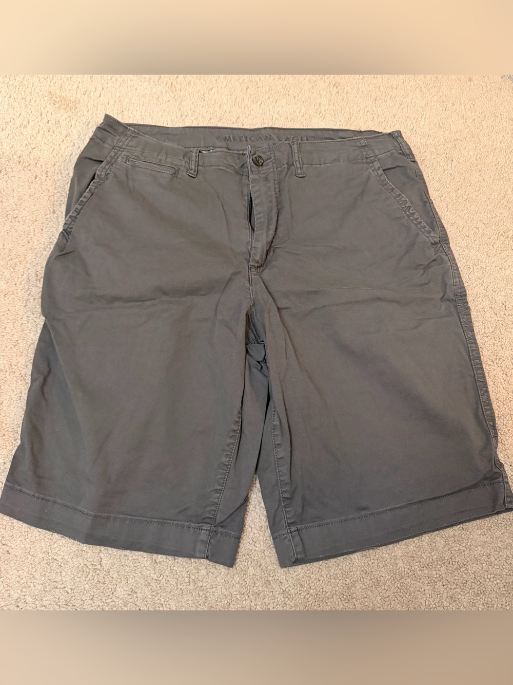American Eagle Outfitters Men’s Slate Gray Flat Front Shorts